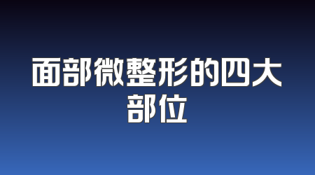 面部微整形的四大部位