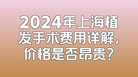 2024年上海植发手术费用详解，价格是否昂贵？