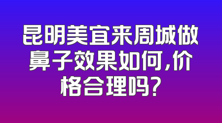 昆明美宜来周城做鼻子效果如何，价格合理吗？
