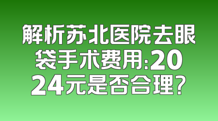 解析苏北医院去眼袋手术费用：2024元是否合理？