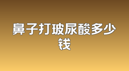 鼻子打玻尿酸多少钱