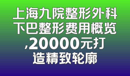 上海九院整形外科下巴整形费用概览，20000元打造精致轮廓