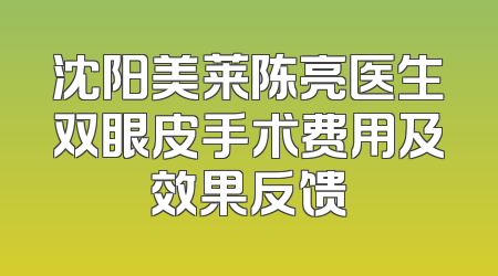 沈阳美莱陈亮医生双眼皮手术费用及效果反馈