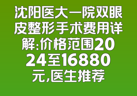 沈阳医大一院双眼皮整形手术费用详解：价格范围2024至16880元，医生推荐