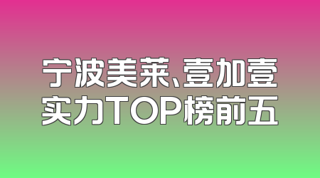 宁波美莱、壹加壹实力TOP榜前五