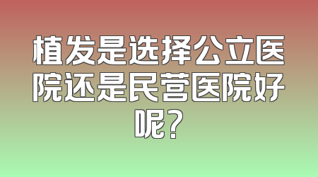 植发是选择公立医院还是民营医院好呢?