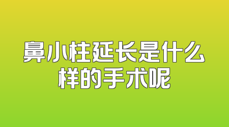 鼻小柱延长是什么样的手术呢