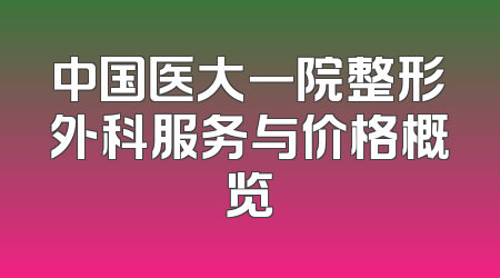 中国医大一院整形外科服务与价格概览