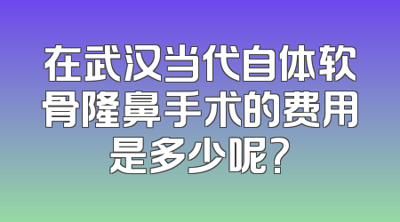 在武汉当代自体软骨隆鼻手术的费用是多少呢?