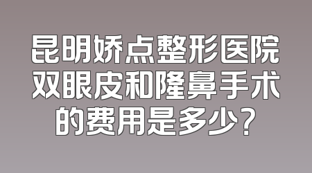 昆明娇点整形医院双眼皮和隆鼻手术的费用是多少？