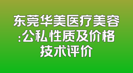 东莞华美医疗美容：公私性质及价格技术评价
