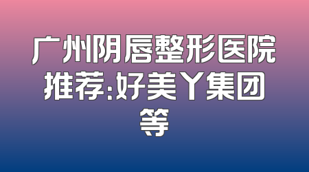 广州阴唇整形医院推荐：好美丫集团等