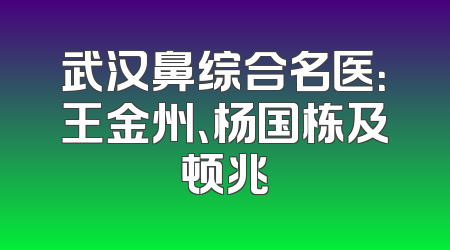 武汉鼻综合名医：王金州、杨国栋及顿兆