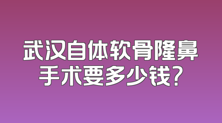 武汉自体软骨隆鼻手术要多少钱?