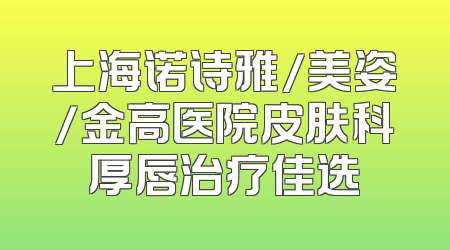 上海诺诗雅/美姿/金高医院皮肤科厚唇治疗佳选