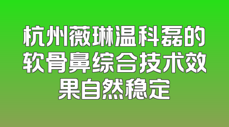 杭州薇琳温科磊的软骨鼻综合技术效果自然稳定