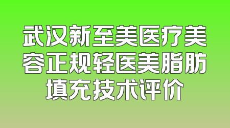 武汉新至美医疗美容正规轻医美脂肪填充技术评价