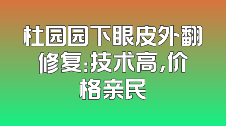 杜园园下眼皮外翻修复：技术高，价格亲民