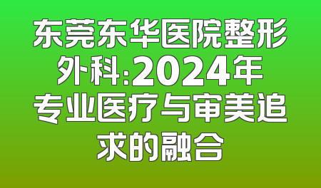 东莞东华医院整形外科：2024年专业医疗与审美追求的融合