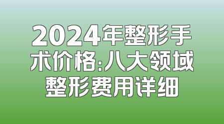 2024年整形手术价格：八大领域整形费用详细
