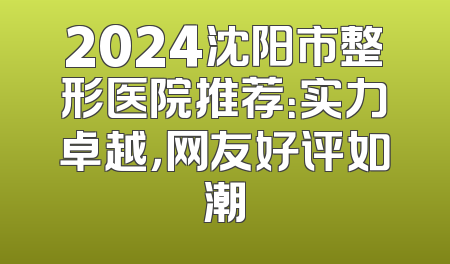 2024沈阳市整形医院推荐：实力卓越，网友好评如潮