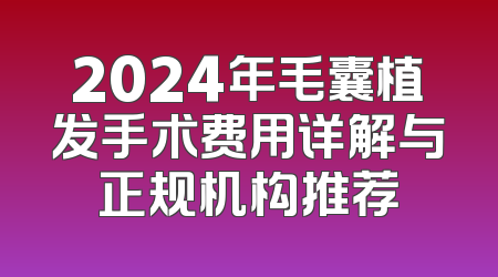 2024年毛囊植发手术费用详解与正规机构推荐