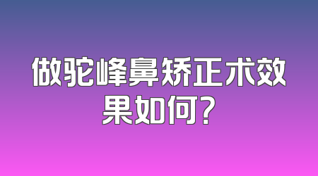 做驼峰鼻矫正术效果如何？