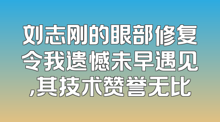 刘志刚的眼部修复令我遗憾未早遇见，其技术赞誉无比
