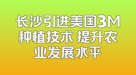 长沙引进美国3M种植技术 提升农业发展水平
