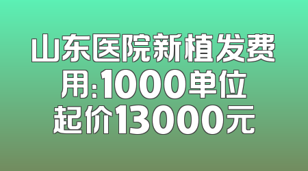 山东医院新植发费用：1000单位起价13000元