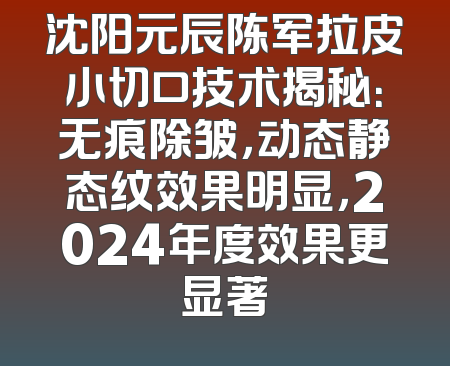 沈阳元辰陈军拉皮小切口技术揭秘：无痕除皱，动态静态纹效果明显，2024年度效果更显著