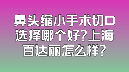 鼻头缩小手术切口选择哪个好？上海百达丽怎么样？
