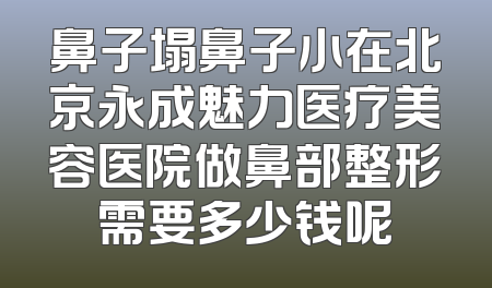 鼻子塌鼻子小在北京永成魅力医疗美容医院做鼻部整形需要多少钱呢