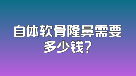 自体软骨隆鼻需要多少钱？