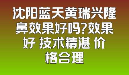 沈阳蓝天黄瑞兴隆鼻效果好吗？效果好 技术精湛 价格合理