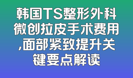 韩国TS整形外科微创拉皮手术费用，面部紧致提升关键要点解读