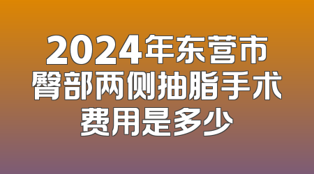 2024年东营市臀部两侧抽脂手术费用是多少