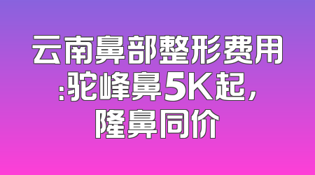 云南鼻部整形费用：驼峰鼻5K起，隆鼻同价