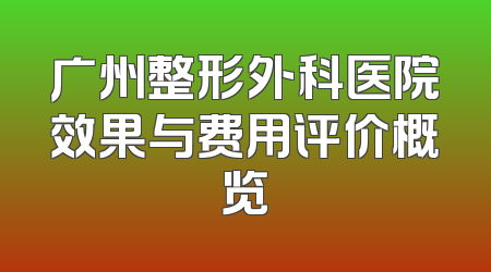 广州整形外科医院效果与费用评价概览