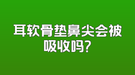 耳软骨垫鼻尖会被吸收吗？