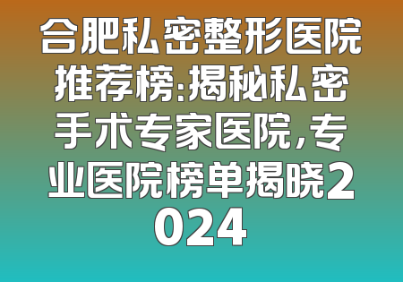 合肥私密整形医院推荐榜：揭秘私密手术专家医院，专业医院榜单揭晓2024