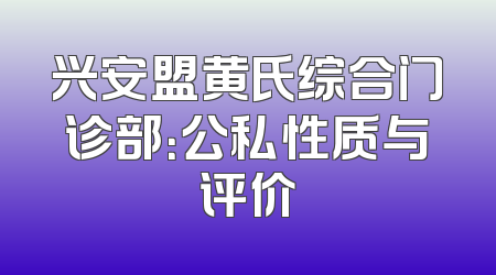 兴安盟黄氏综合门诊部：公私性质与评价