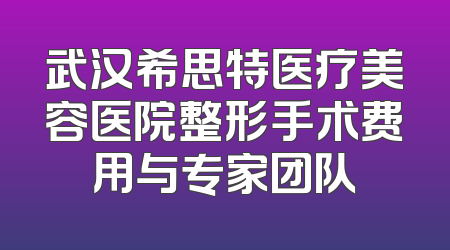 武汉希思特医疗美容医院整形手术费用与专家团队