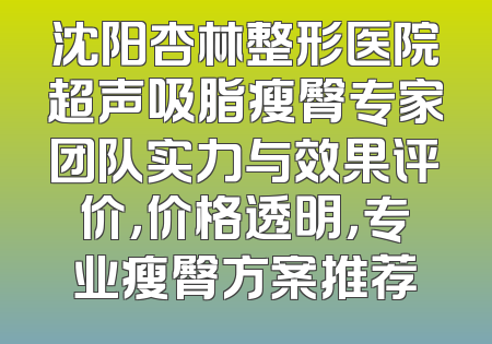 沈阳杏林整形医院超声吸脂瘦臀专家团队实力与效果评价，价格透明，专业瘦臀方案推荐
