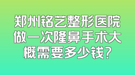 郑州铭艺整形医院做一次隆鼻手术大概需要多少钱？