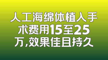 人工海绵体植入手术费用15至25万，效果佳且持久