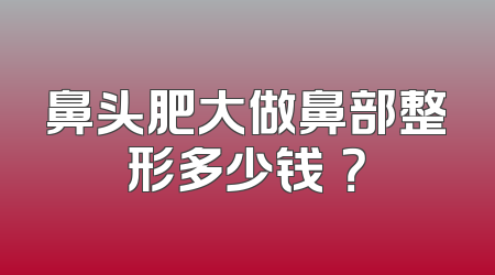 鼻头肥大做鼻部整形多少钱​？