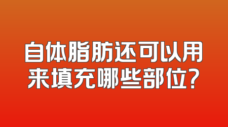 自体脂肪还可以用来填充哪些部位？