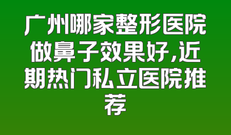 广州哪家整形医院做鼻子效果好,近期热门私立医院推荐