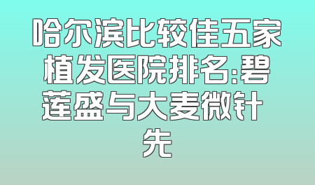 哈尔滨比较佳五家植发医院排名：碧莲盛与大麦微针領先